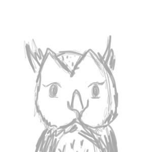 Meet your Posher, Charlotte